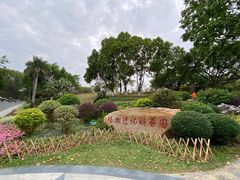 -东莞植物园