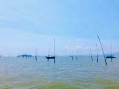 -北岐滩涂