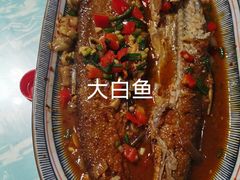 -鱼乐岛餐厅·户外花园主题餐厅