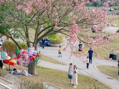 -风云岭森林公园