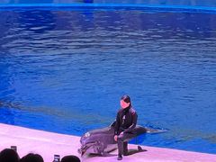 -华夏文旅海洋公园