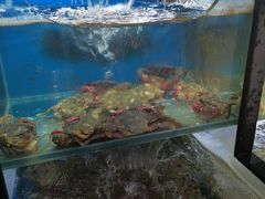 水产区-老东镇啤酒屋海鲜加工·蒸汽海鲜·海鲜烧烤(台东店)