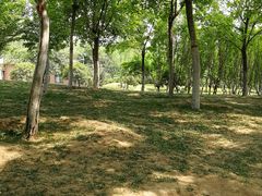 -洨河生态公园