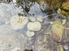 -终南山国家森林公园