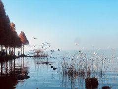 -捞渔河湿地公园