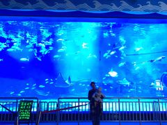 -烟台海昌鲸鲨海洋公园