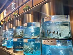 -老船舫·现做活鲜鱼馆(东郊记忆店)