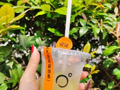 -喧闹·东方大气茶(鹅岭二厂店)
