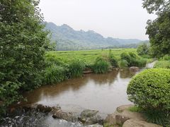 -中国茶叶博物馆(双峰馆区)