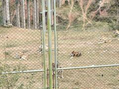 -鄂尔多斯野生动物园