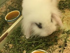 -龙猫仔乐园(惠福东路店)