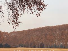 -河南省黄河迎宾馆