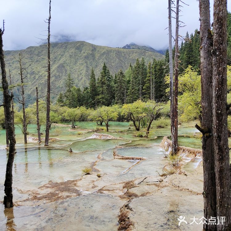 九寨沟~黄龙｜一场说走就走的旅行