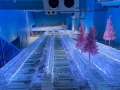 -西安银基冰雪世界