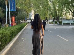 -南翔镇银翔湖公园