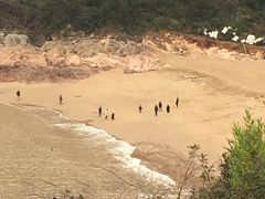-北岐滩涂