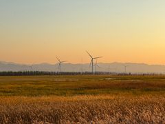 -野鸭湖国家湿地公园