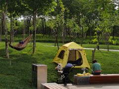 -解家河南菜(金水路店)