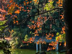 -广州市白云山风景名胜区