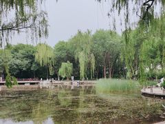 -玲珑塔公园