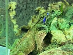 -天津zoonly动物主题公园
