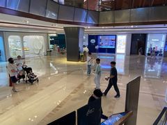 -港汇恒隆广场