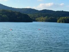 -佛手湖郊野公园