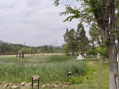 -佛手湖郊野公园
