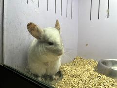 -昆明大悦城未来动物城(螺蛳湾中心店)