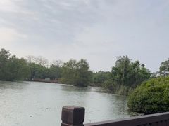 -大湾区中央湿地公园