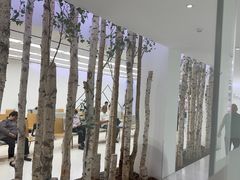 -极简口腔(总院)