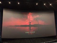 -博纳国际影城IMAX(中央大道店)