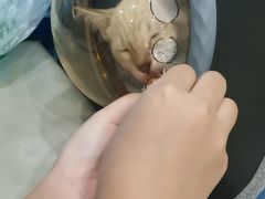 -伟伟宠物医院·CT影像中心·瑞派犬猫综合性门诊(汉口总院)