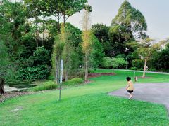 -新加坡植物园