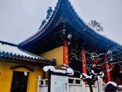 -灵谷景区