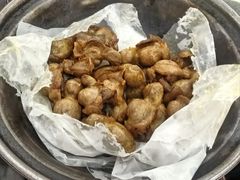 -鸽鸟轩(石岐店)