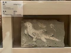 -敦煌市博物馆