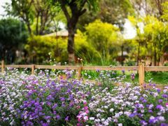 -三圣花乡旅游区