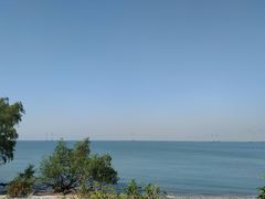 -宝安西湾红树林湿地公园