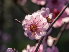 -上海吴淞炮台湾国家湿地公园