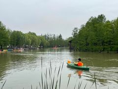 -上海长兴岛郊野公园