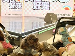 -成都银泰城