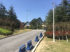 -铁山坪森林公园