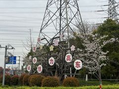 -高东镇樱花园