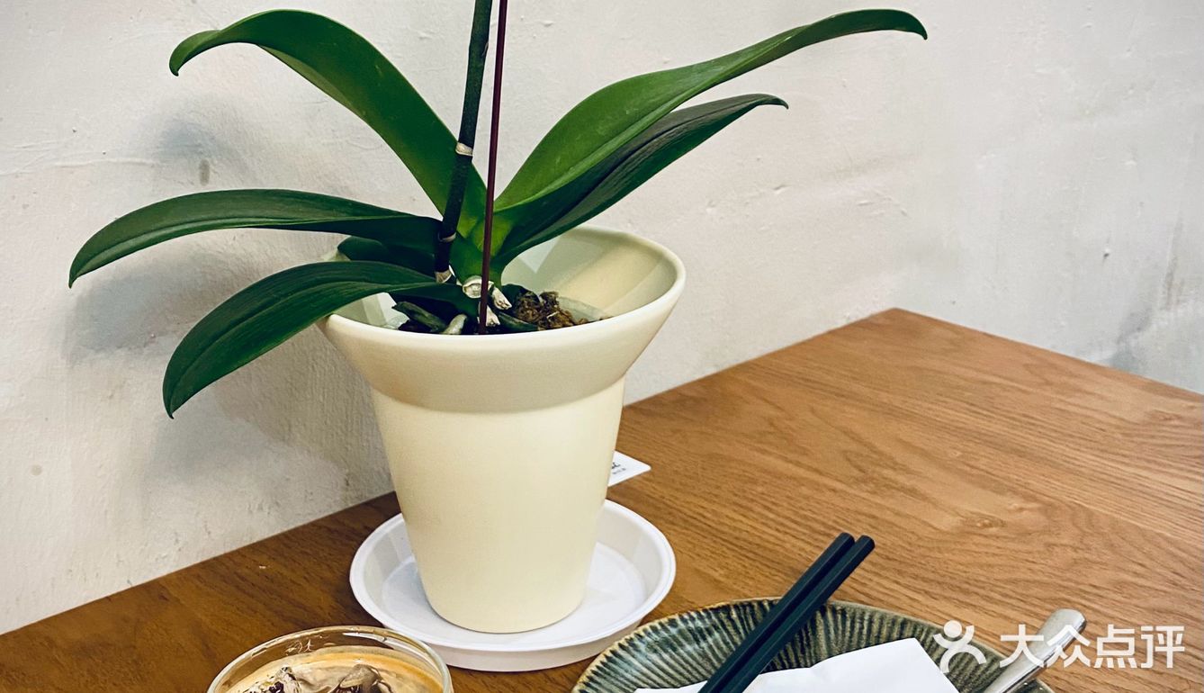 第一次午餐·第二次打卡