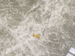 -一麻一辣麻辣香锅(方庄店)