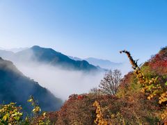 -秦岭风景区