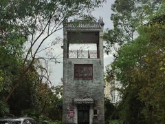 -大亚湾红树林城市湿地公园