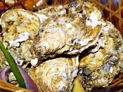 -蚝堡海鲜·威海菜·海肠捞饭·烧烤·亚洲吃蚝公司(幸福门店)
