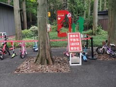 -东平国家森林公园